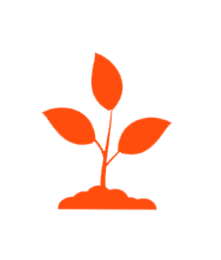 CO2 para acuarios y plantas