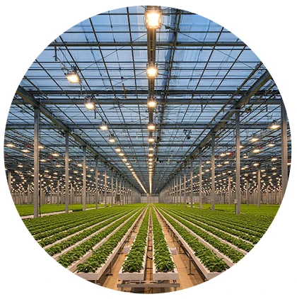 CO₂ para Cultivos de Plantas y Acuarios